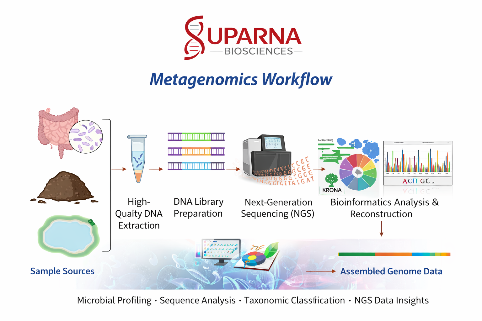 16s Metagenomics